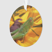 Hier sehen Sie - Grasshopper Ornament (Vorderseite)