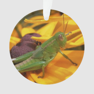 Hier sehen Sie - Grasshopper Ornament