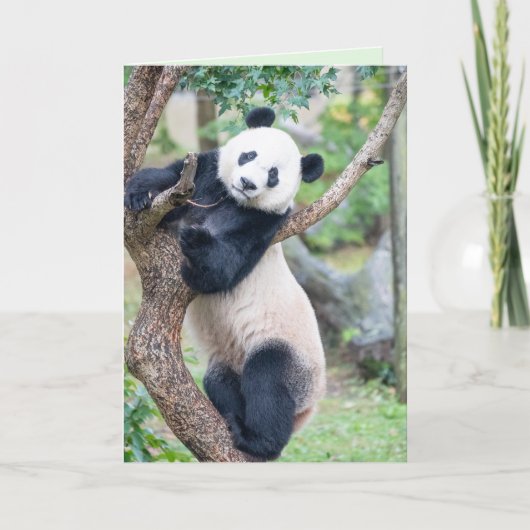 Hier sehen Sie Ihre Panda Grußkarte Karte (Vorderseite)