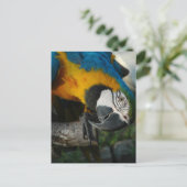 Hier sehen Sie Postkarte (Stehend Vorderseite)