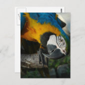 Hier sehen Sie Postkarte (Vorne/Hinten)