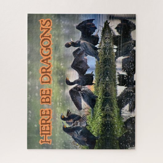 Hier sind Drachen Kormorane Seite gegenüber Puzzle (Vertikal)