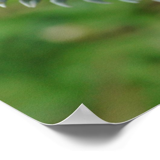 Hier sind Drachen Poster (Ecke)