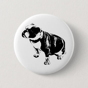 Hier, Steady Button