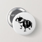 Hier, Steady Button (Vorne & Hinten)