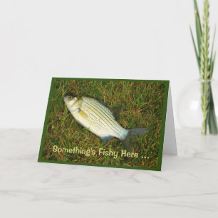 Hier stinkt's nach Fisch - Du scheinst nie zu alte Karte