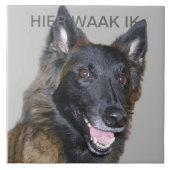 Hier wak fliese (Vorderseite)