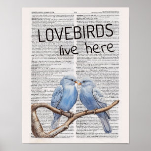 Hier wohnen Lovebirds Poster