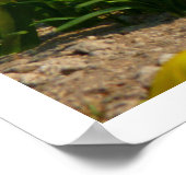 Hierapolis Ruins, Türkei Poster (Ecke)