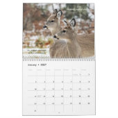 Higgins Lake Nature 2020 Calendar c Kalender (Jan 2027)