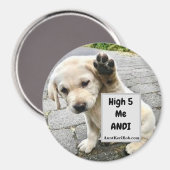 High 5 Me Andi Puppy Magnet (Vorderseite/Rückseite)