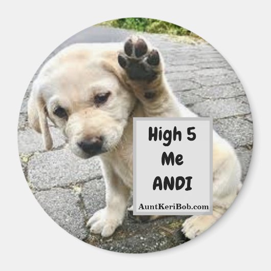 High 5 Me Andi Puppy Magnet (Vorne)