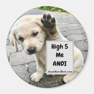 High 5 Me Andi Welpe Magnet