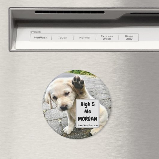 High 5 Me MORGAN Puppy Magnet (In Situ (Geschirrspüler))