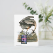 High Blue Heron maximale Karte Audubon (Stehend Vorderseite)