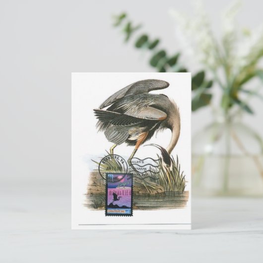 High Blue Heron maximale Karte Audubon (Stehend Vorderseite)