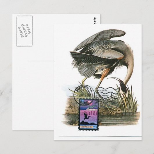 High Blue Heron maximale Karte Audubon (Vorne/Hinten)