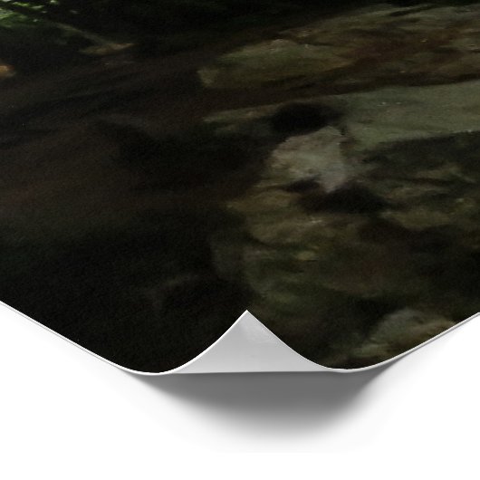 High Bridge Over Water Poster (Ecke)