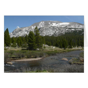 High Country Mountain Stream II in Yosemite