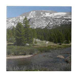 High Country Mountain Stream II in Yosemite Fliese