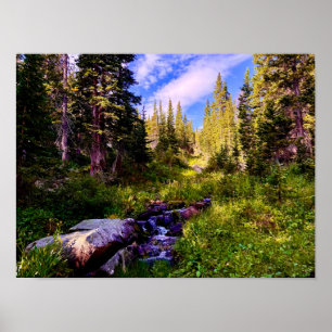 High Country Triumph – Colorado Bergwanderung Poster