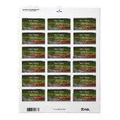 High Def Kayak; Mailingbedarf Adressaufkleber (Vorne)