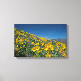 High Desert Balsam Superbloom Leinwanddruck