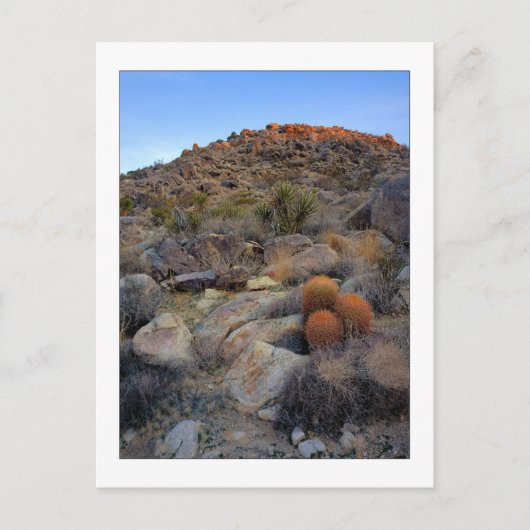 "High Desert Garden" Postkarte (Vorderseite)