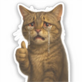 High Detail Sad Cat Giving Thumbs Up Aufkleber (Vorderseite)