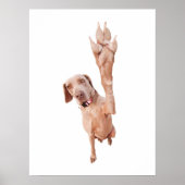 High Five Weimaraner Poster (Vorne)