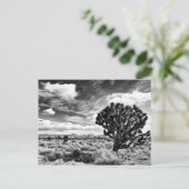 High Noon Postkarte (Stehend Vorderseite)