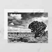 High Noon Postkarte (Vorne/Hinten)