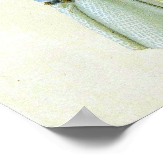 High Priest of Israel Poster (Ecke)