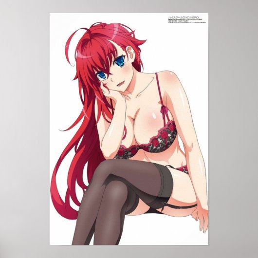 High School DxD Rias Gremory Poster (Vorne)