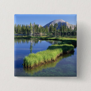 HIGH UINTAS WILDERNESS, UT, US, Halbinsel, Button