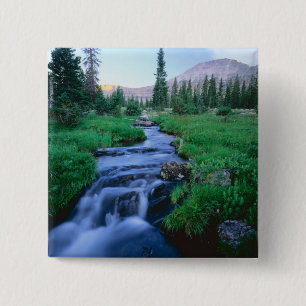 HIGH UINTAS WILDERNESS, UTAH. Stillwater Fork Button