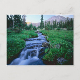 HIGH UINTAS WILDERNESS, UTAH. Stillwater Fork Postkarte