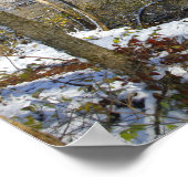 Highbanks Metro park, High Bluffs, im Winter, Ohio Poster (Ecke)