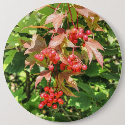 Highbush Cranberries Button (Vorderseite)