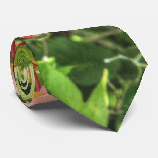 Highbush Cranberries Krawatte (Gerollt)