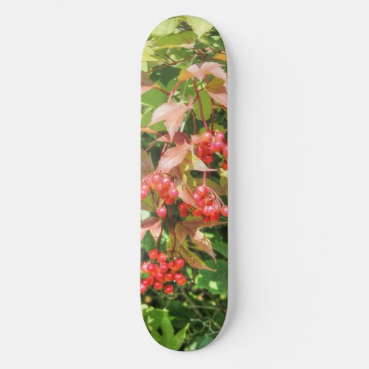 Highbush Cranberries Skateboard (Vorderseite)