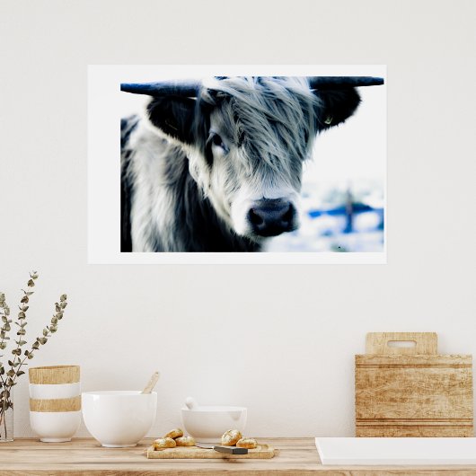 Highland Blue Poster (Küche)
