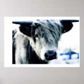 Highland Blue Poster (Vorne)