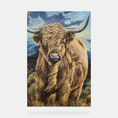 Highland Bull Acrylschild (Vorderseite)