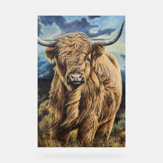 Highland Bull Acrylschild (Vorderseite)