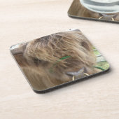 Highland Bull Untersetzer (Linke Seite)