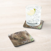 Highland Bull Untersetzer (Rechte Seite)