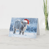 Highland Calf im Schnee glückliche Ferien Niedlich Karte (Vorderseite)