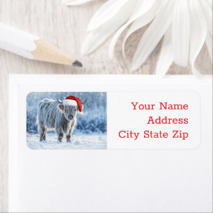 Highland Calf in der Rücksendeadresse des Schneesc