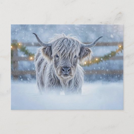 Highland Calf in Snow Christmas Holiday Postkarte (Vorderseite)